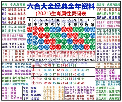 六合彩生肖号码|2024年【六合彩生肖号码】属性知识对照表